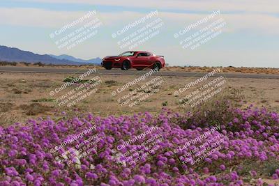 media/Jan-08-2023-SCCA SD (Sun) [[8f6a5b9391]]/Advanced Group/Session 2 (Short Straight)/